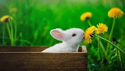 开云·体育官网APP下载-利物浦签约新东家英超联赛，利物浦英超最佳开局