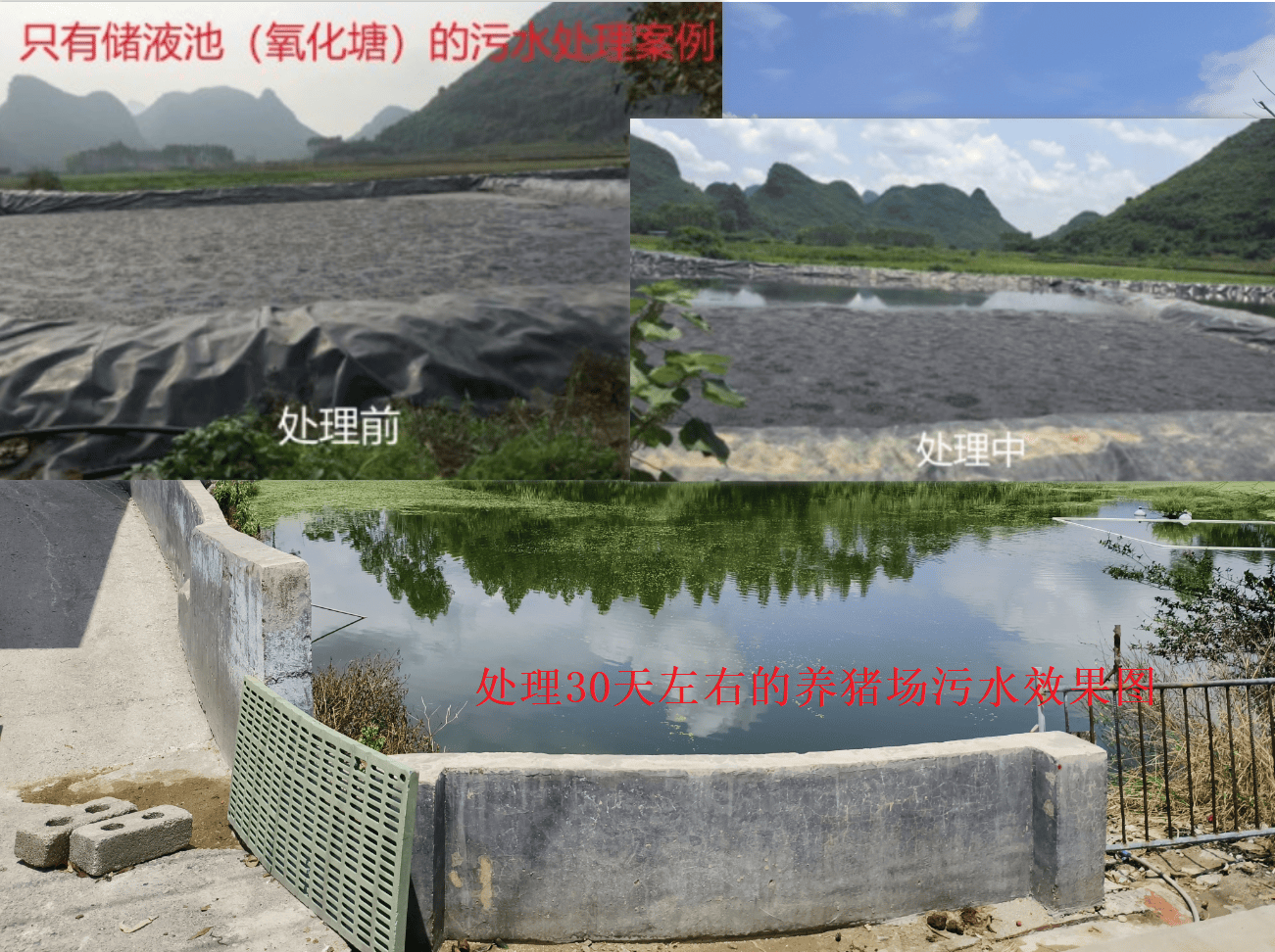 关于绿色篮球:联盟持续推动环保项目,践行可持续发展的信息 关于绿色篮球:联盟持续推动环保项目,践行可持续发展的信息