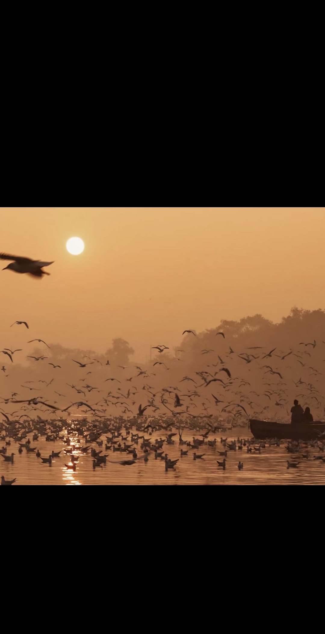 逆风而行:不屈不挠写成的运动传奇的简单介绍 逆风而行:不屈不挠写成的运动传奇的简单介绍