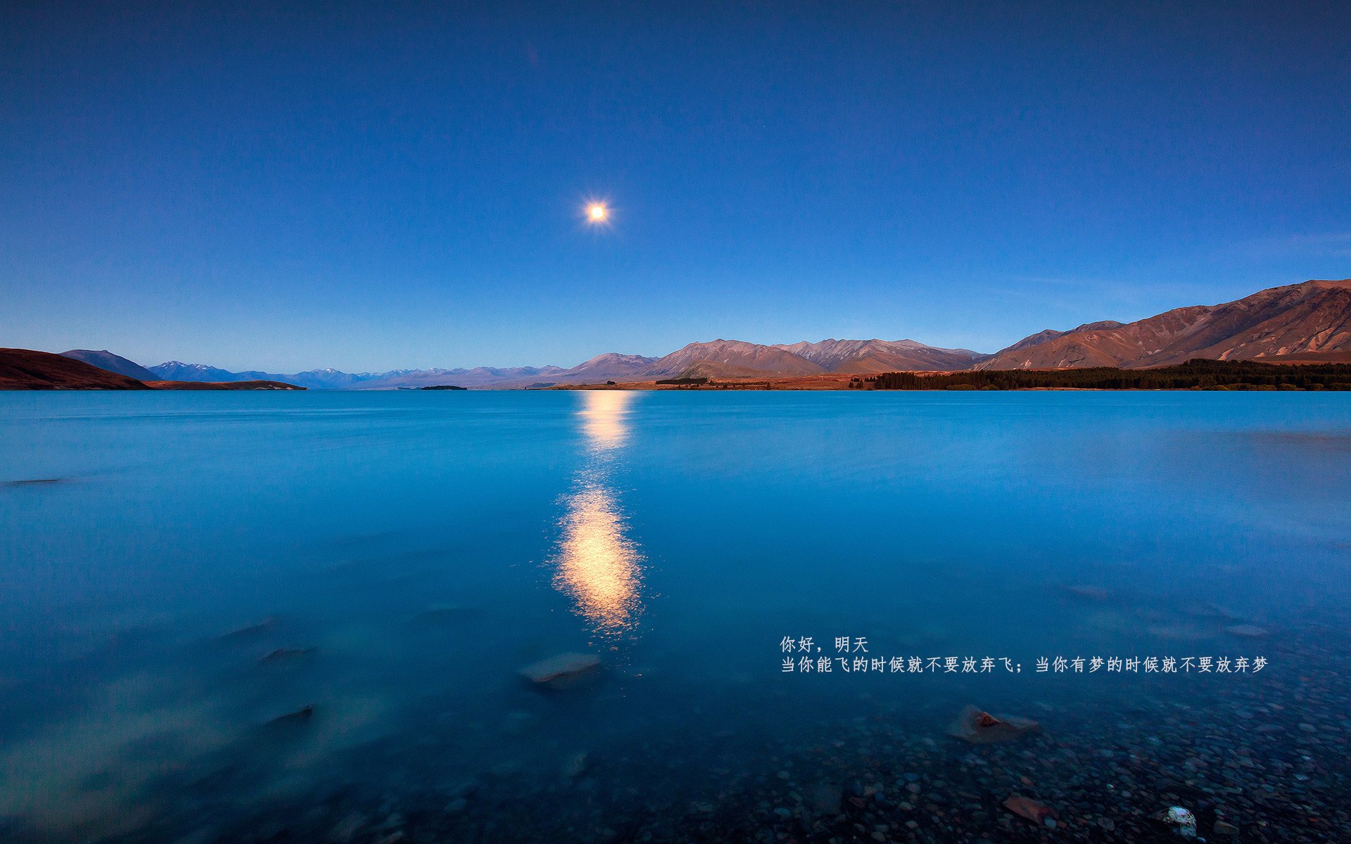 开云体育中国官网-VR电竞新玩法引领未来，沉浸式体验震撼来袭，电竞主机vr游戏平台