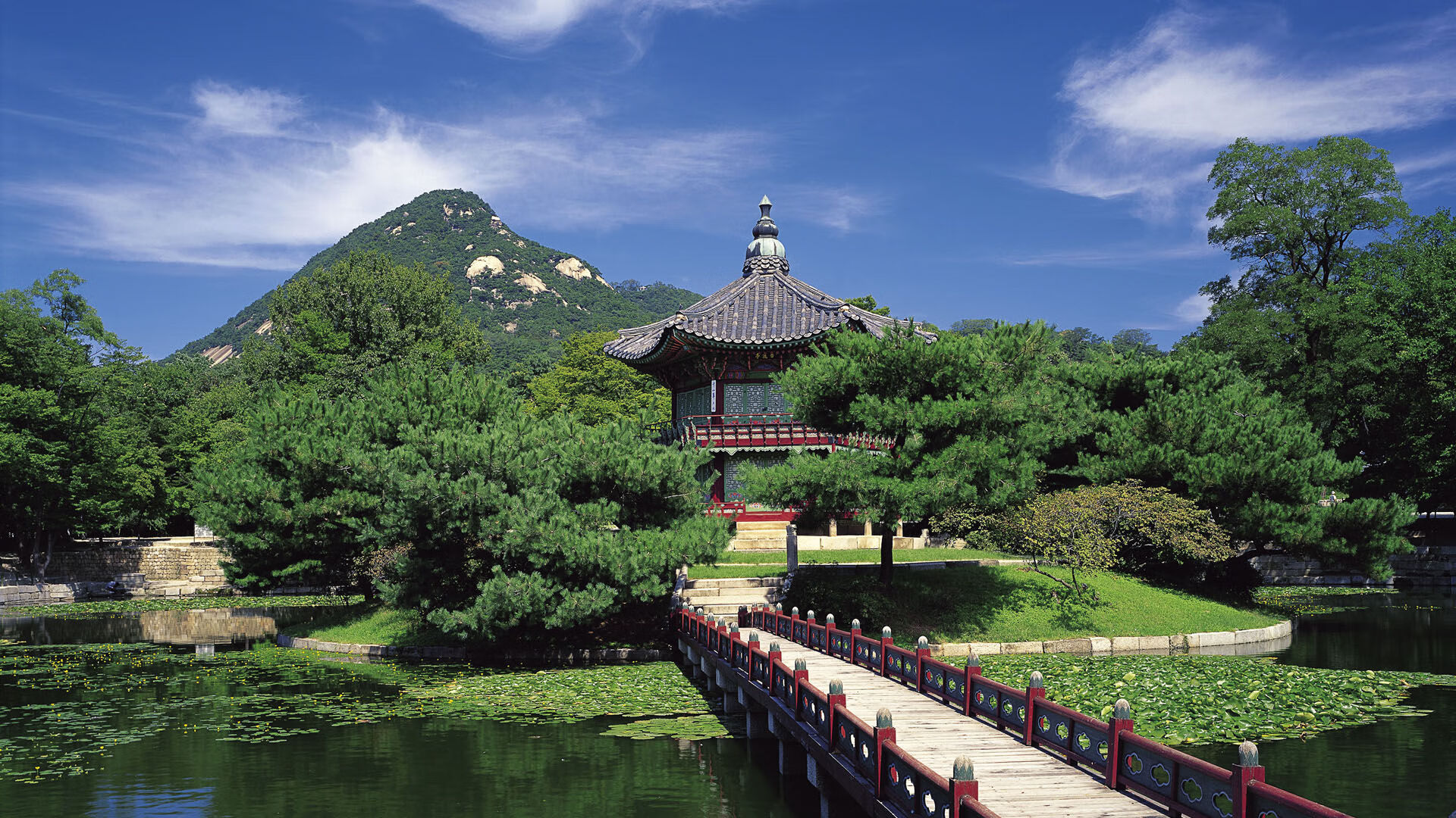 夜幕灯光轮滑表演,城市街头的青春舞台,深夜轮滑