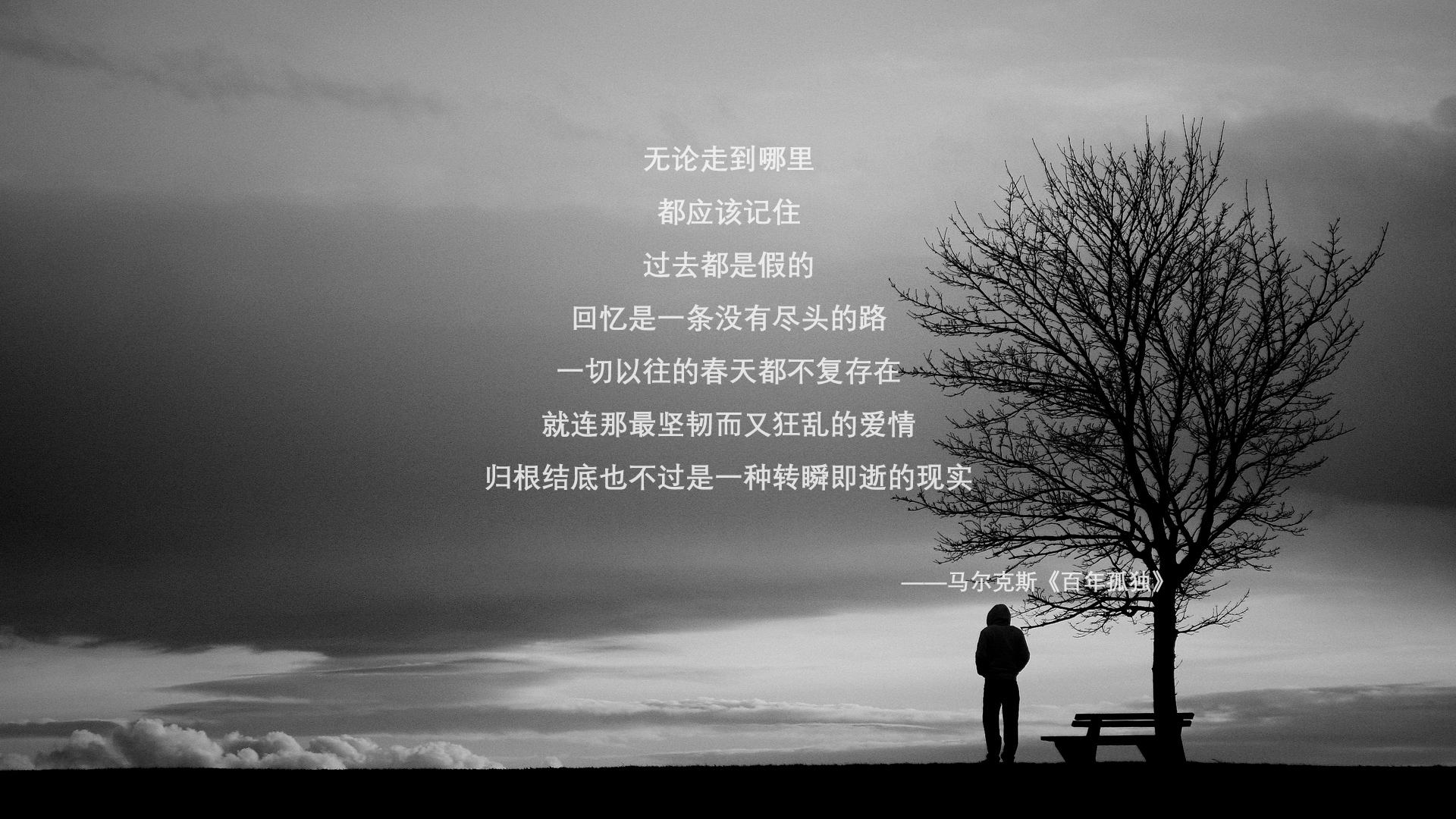 开云·体育官方网站入口-德甲实现赛场绿色环保理念，追求可持续发展