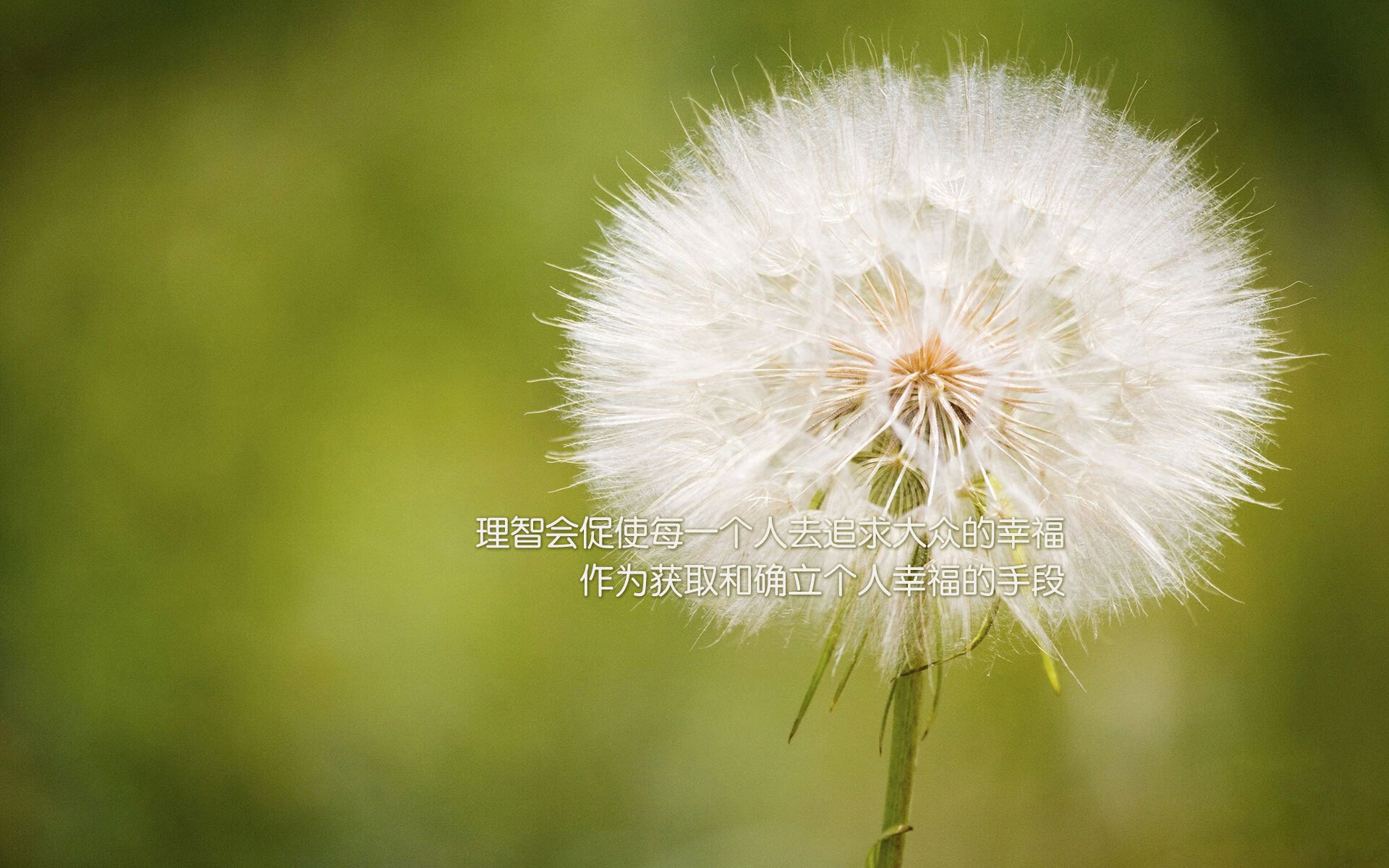 欧冠“人气王”评选：你支持的巨星是哪一位？，欧冠影响力秒杀nba