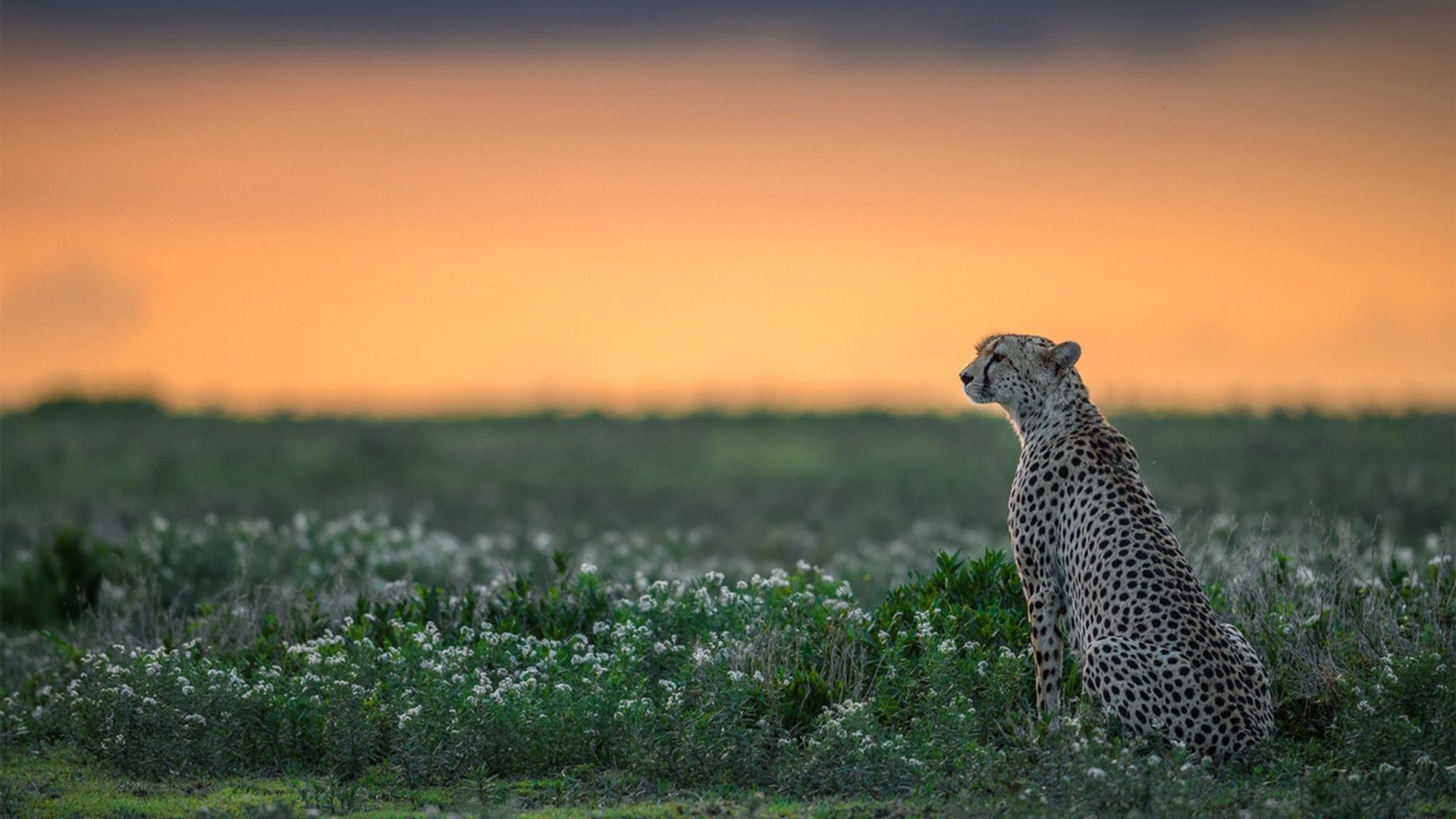开云官网在线-特色乡村水上漂流，激发团队合作精神，水上漂流项目设计