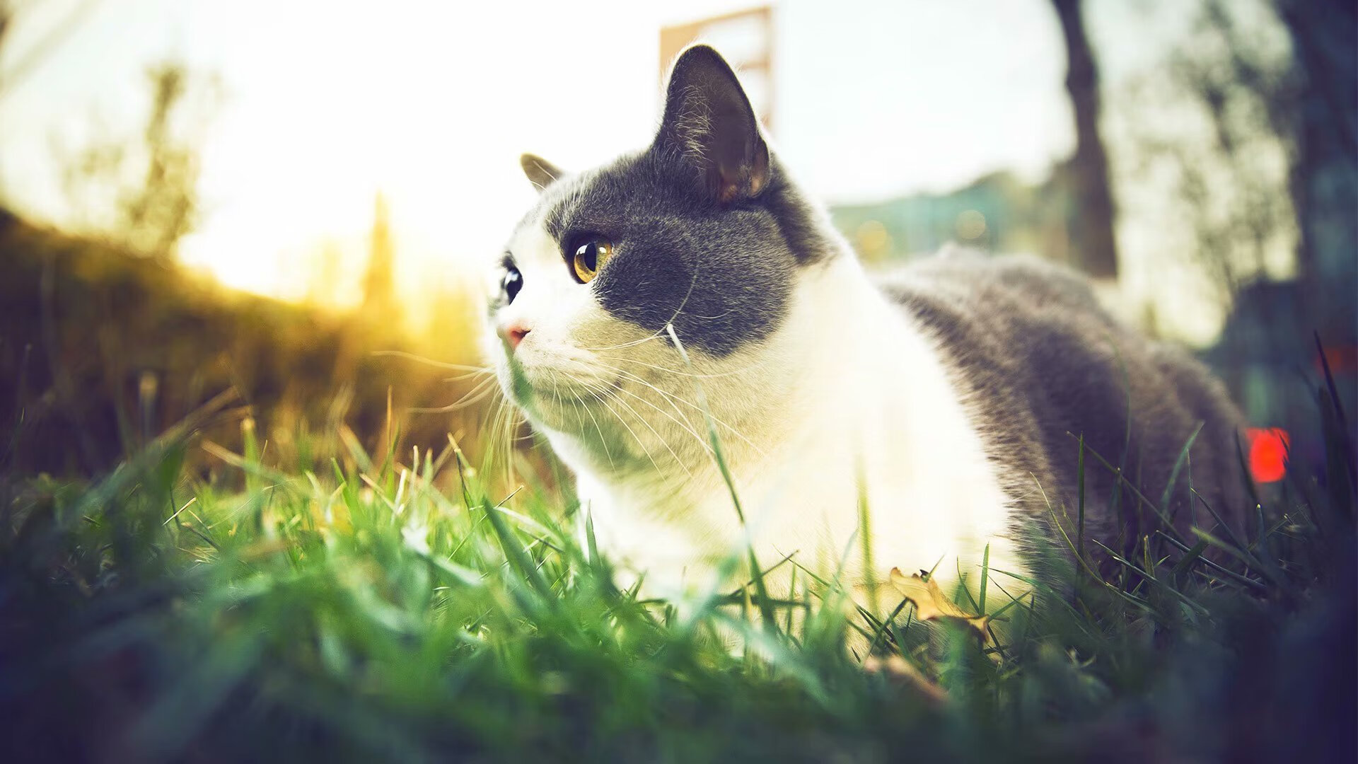 开云体育在线赛事直播-电竞赛事奖金创新高，电竞比赛奖金分配