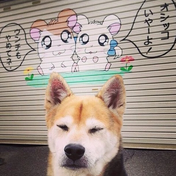 裁判标准升级：不断完善规则，确保比赛公平公正，裁判标准统一