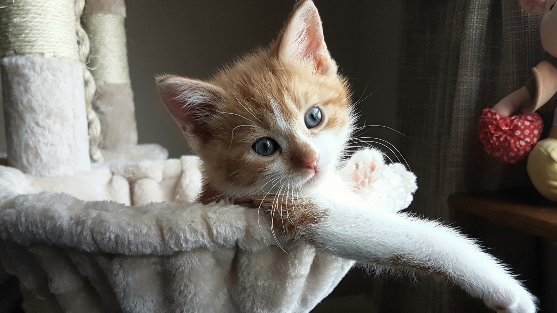 EDG战队阵容深度不断增强,edg战队队员名单