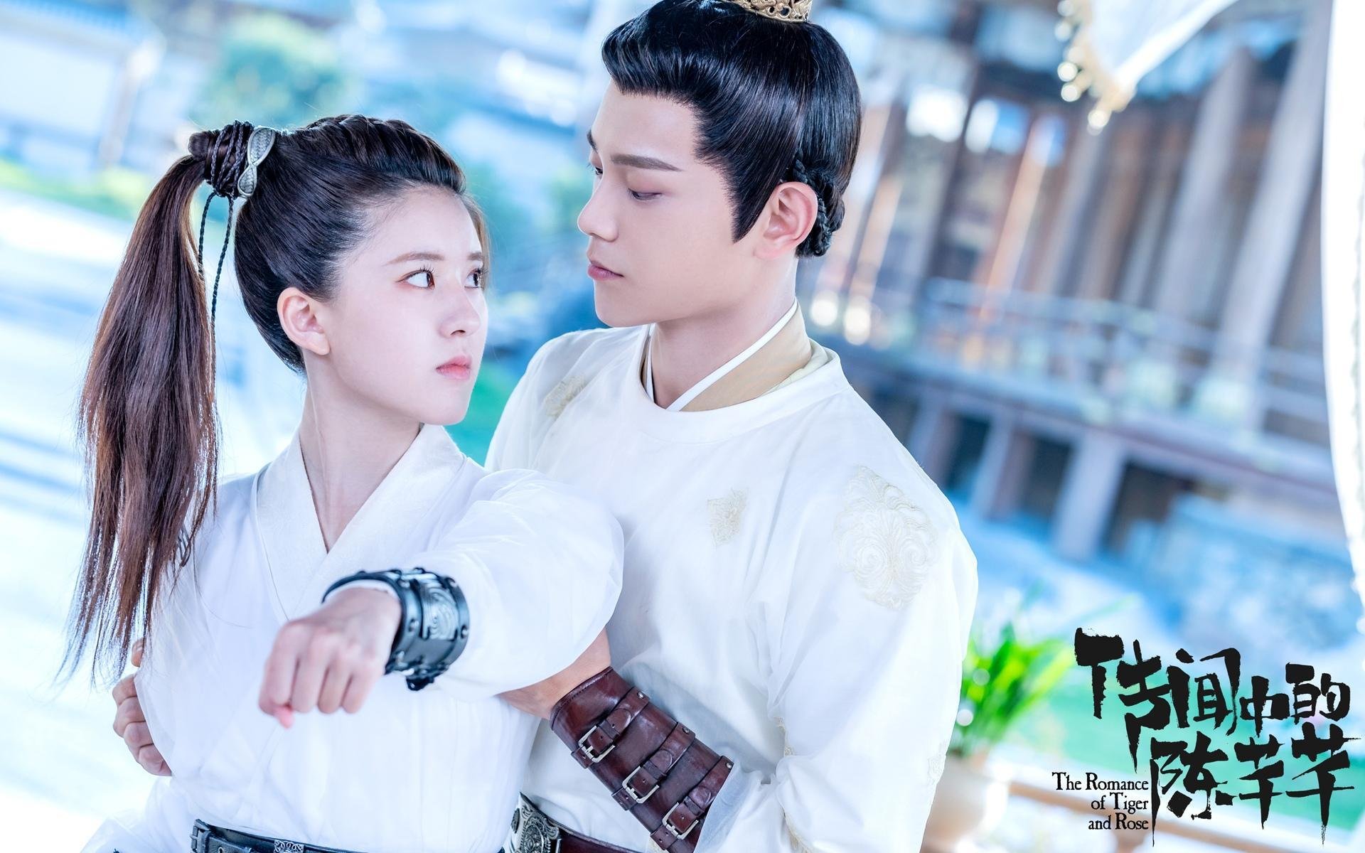 中超联赛观众人数回升,球迷热情高涨,中超场均观众人数