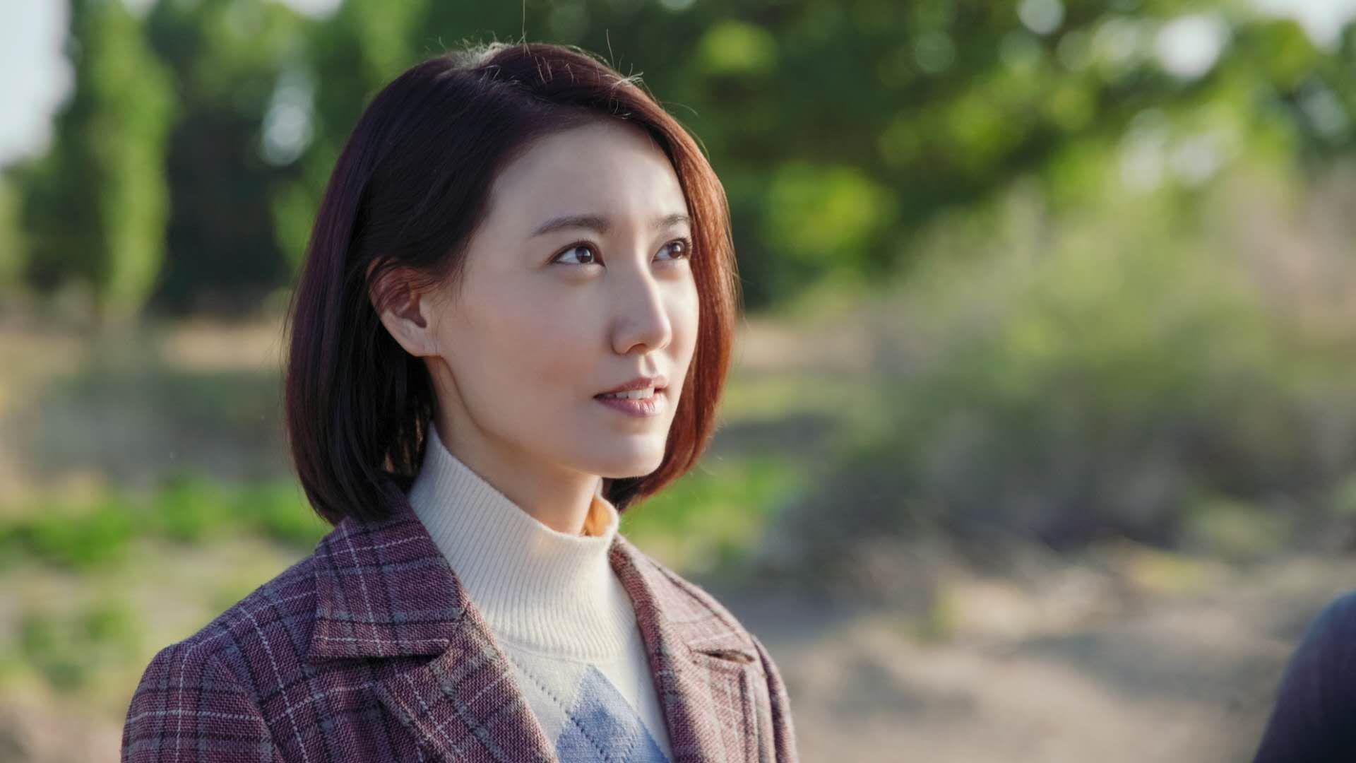 中超联赛观众人数持续增长,球迷热情高涨,中超联赛观看人数