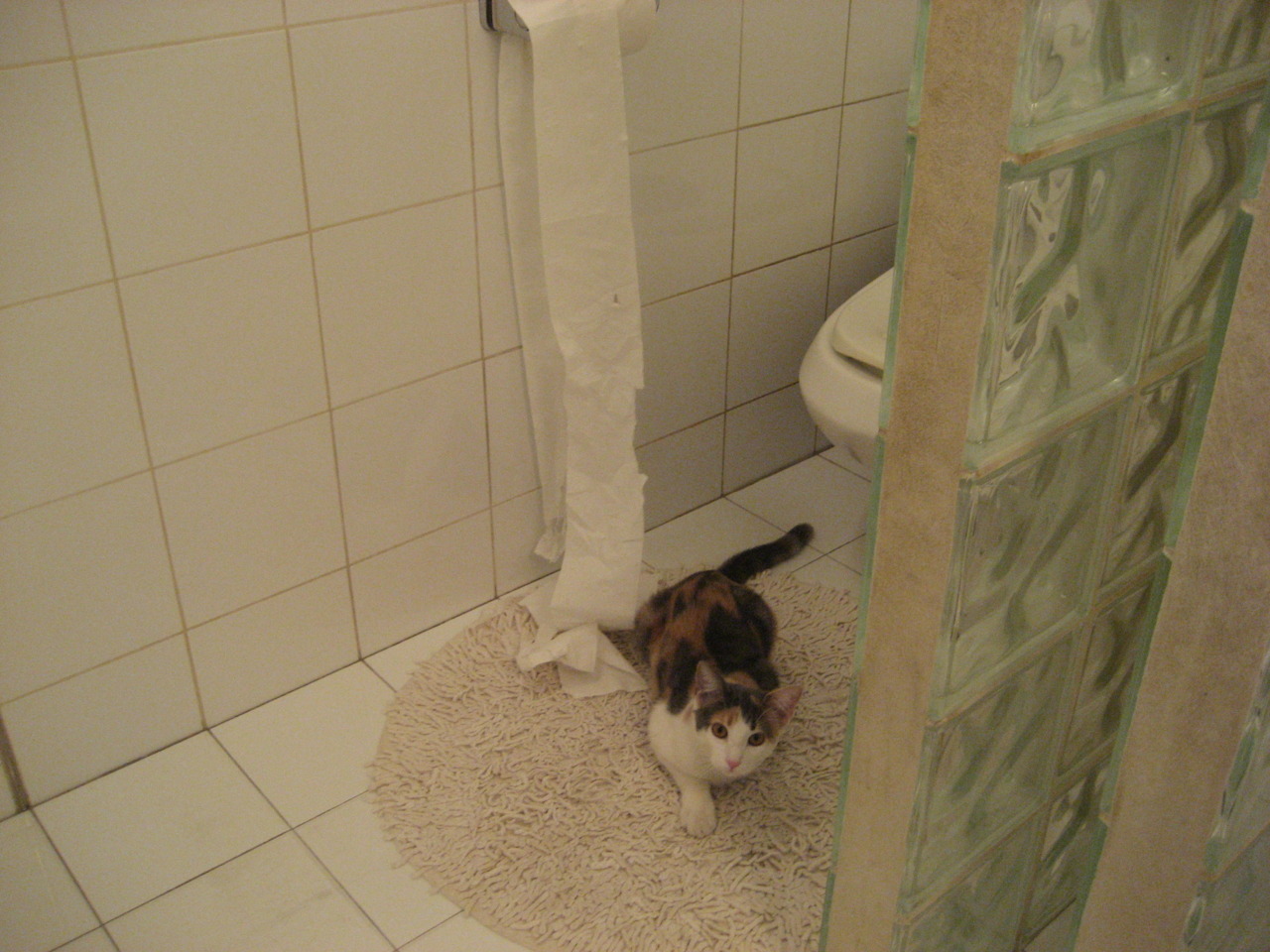 开云官网首页-利物浦锋线火力强大，英超球队后防难敌，利物浦的英超球队