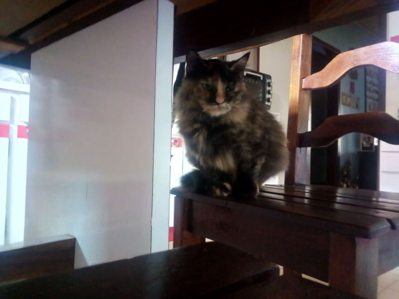 墨尔本联关键时刻发挥出色,墨尔本百度百科