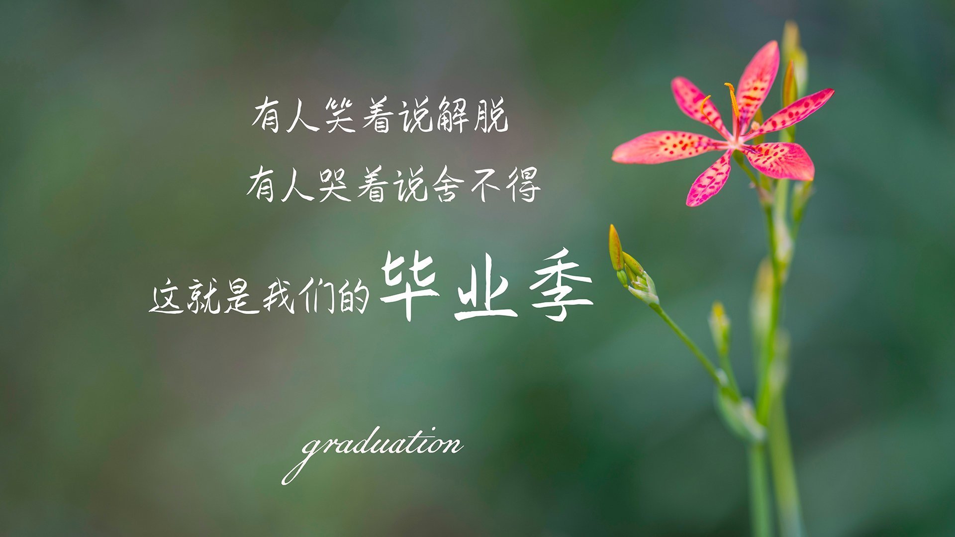 球员状态神勇,对抗局势紧张刺激,球员的状态