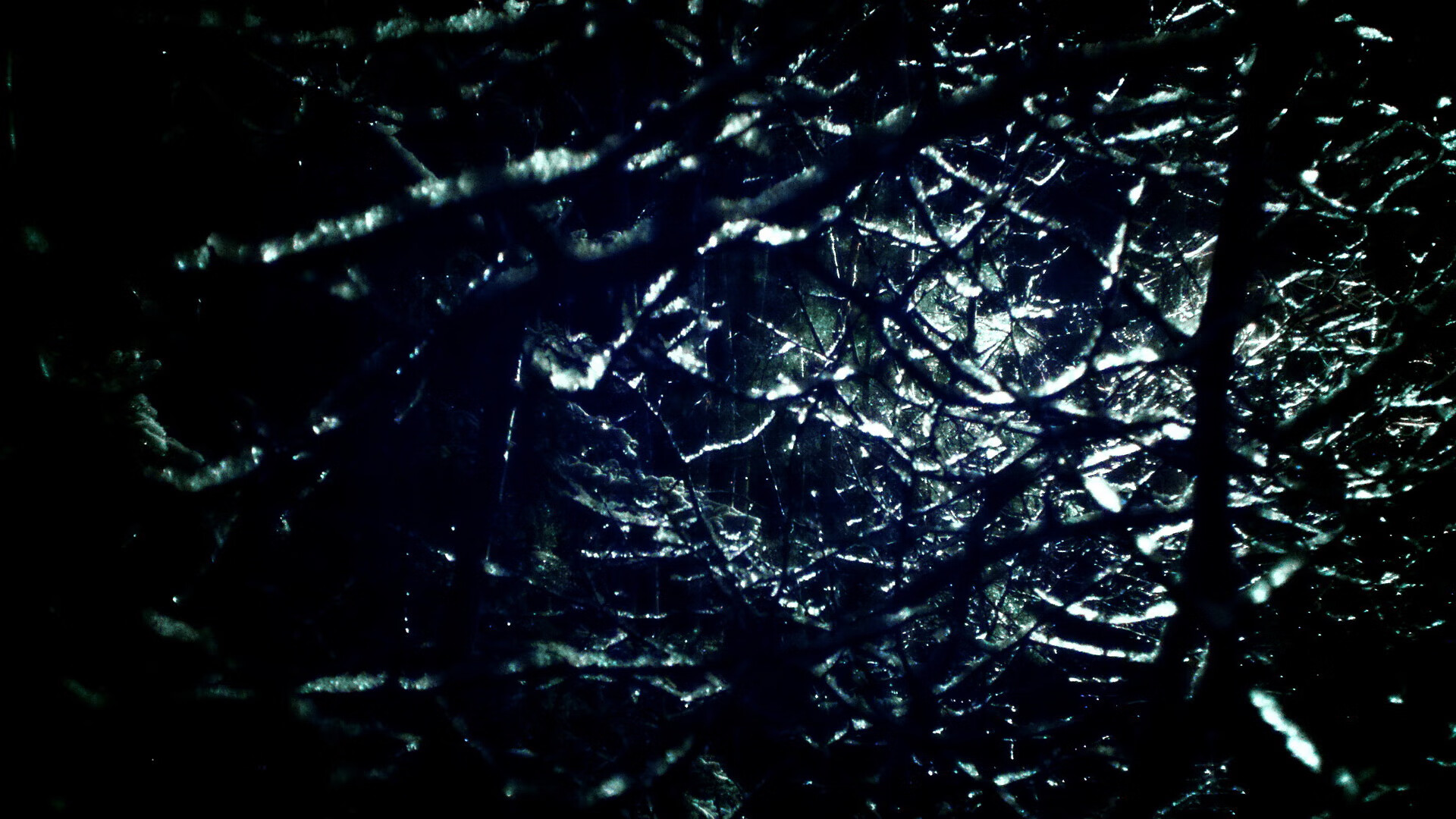 维克托·文班亚马成为NBA品牌代言人