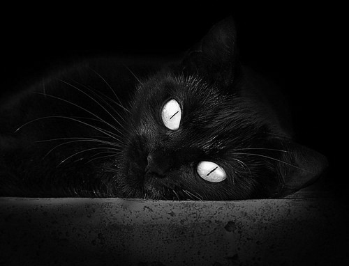 世界青少年射箭锦标赛中国队表现抢眼,青少年射箭比赛以后有没有前途