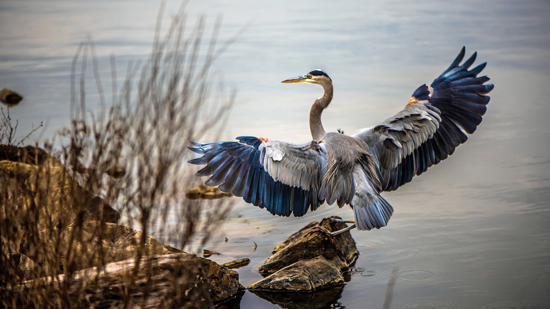 中国篮球青少年篮球培训机构发展现状分析,青少年篮球培训招生