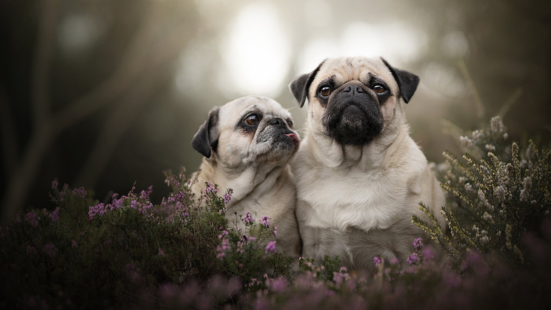 开云官方网页登录-中小学课后体育托管服务创新模式研究，中小学生课后托管问题