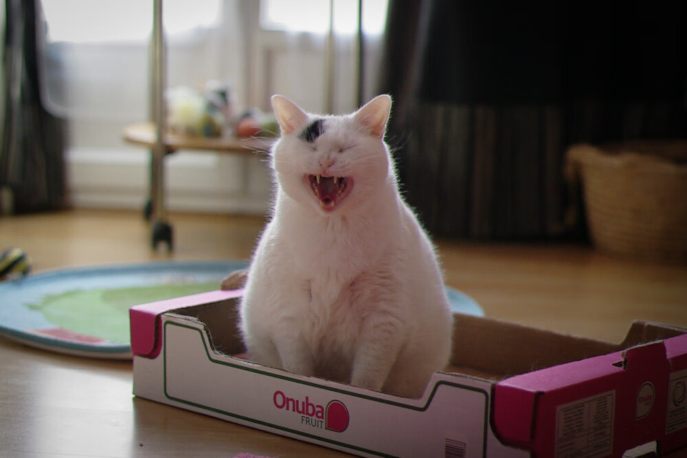 未来足球产业:从俱乐部到产业链升级,足球 未来