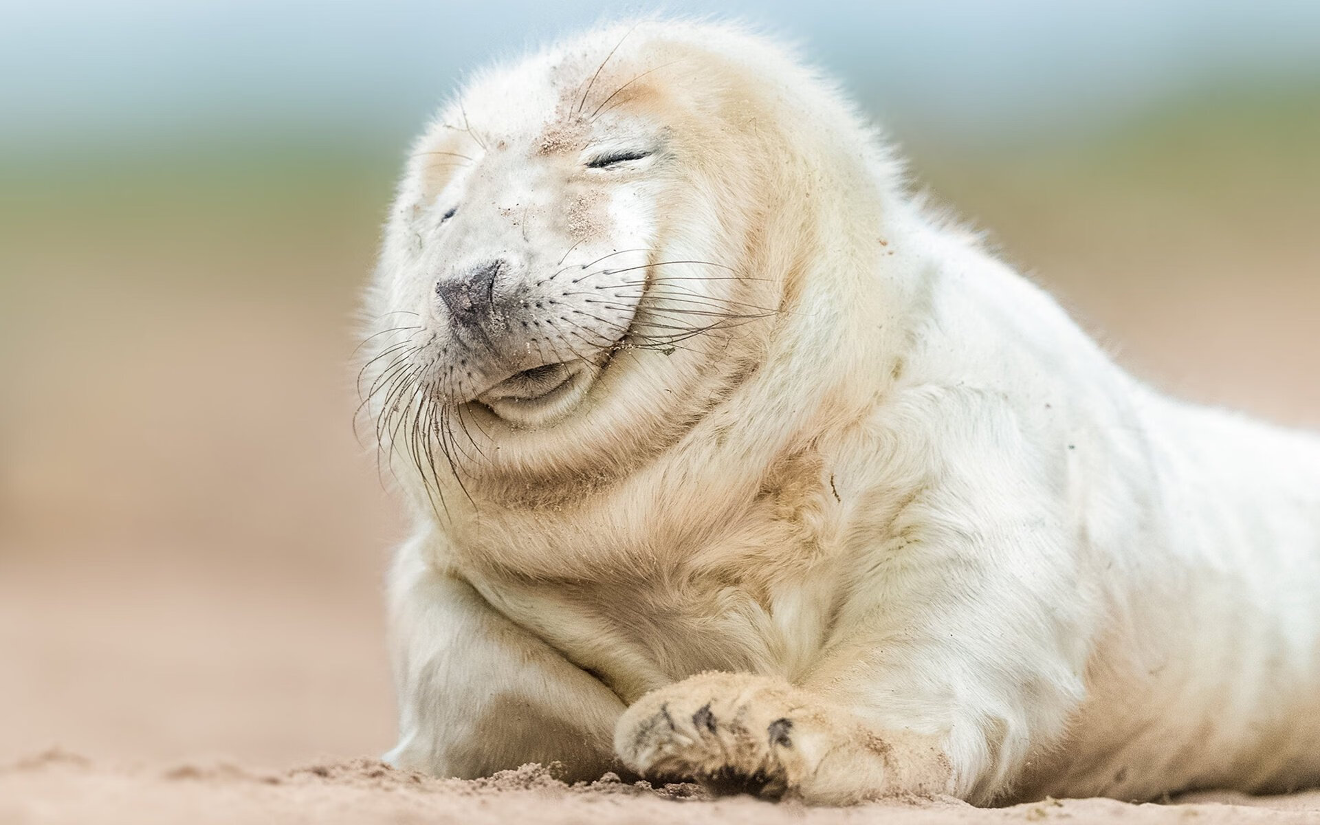 “快艇冲浪:马鞍山赛场突破极限,速度与技巧并肩作战”