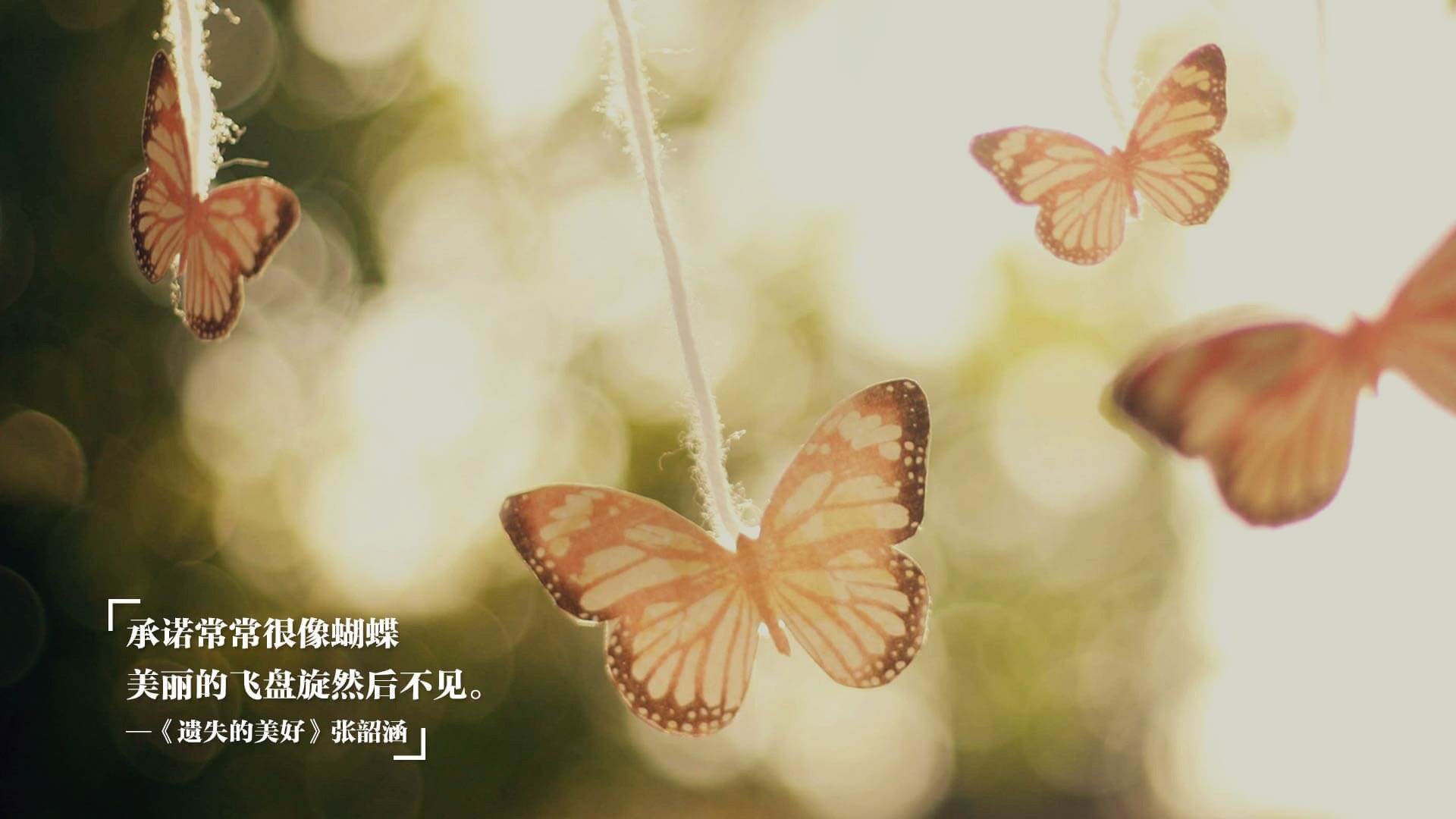 体育新闻中心推动基层体育数字内容发展计划，体育 数字化