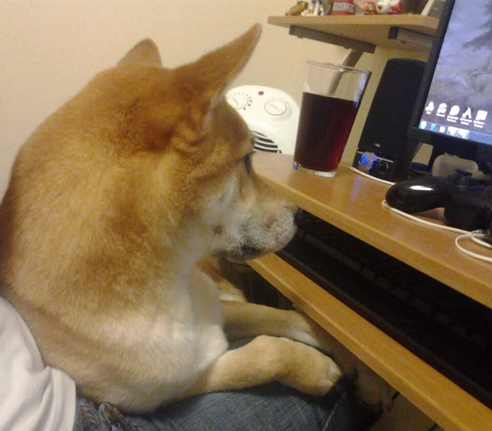 历史得分排行榜前十对比,历史得分榜nba百度百科