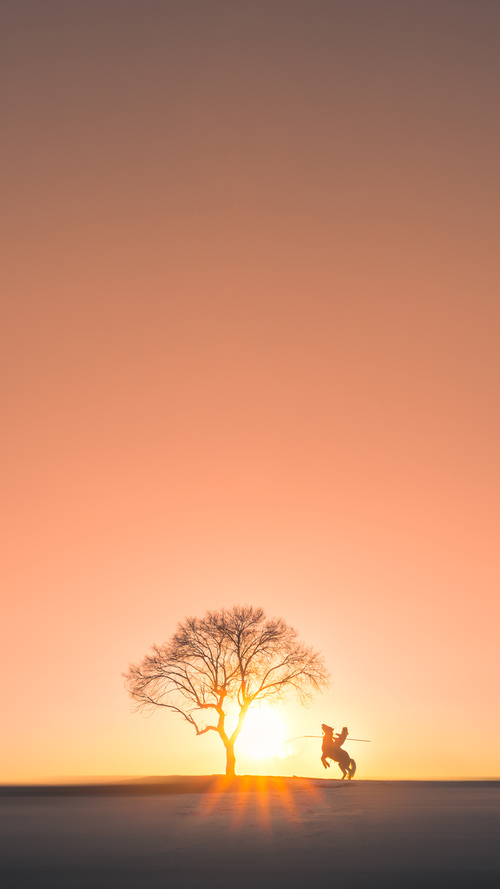 新加坡乒乓球队未来发展战略:从青训到国际舞台,新加坡乒乓球国手