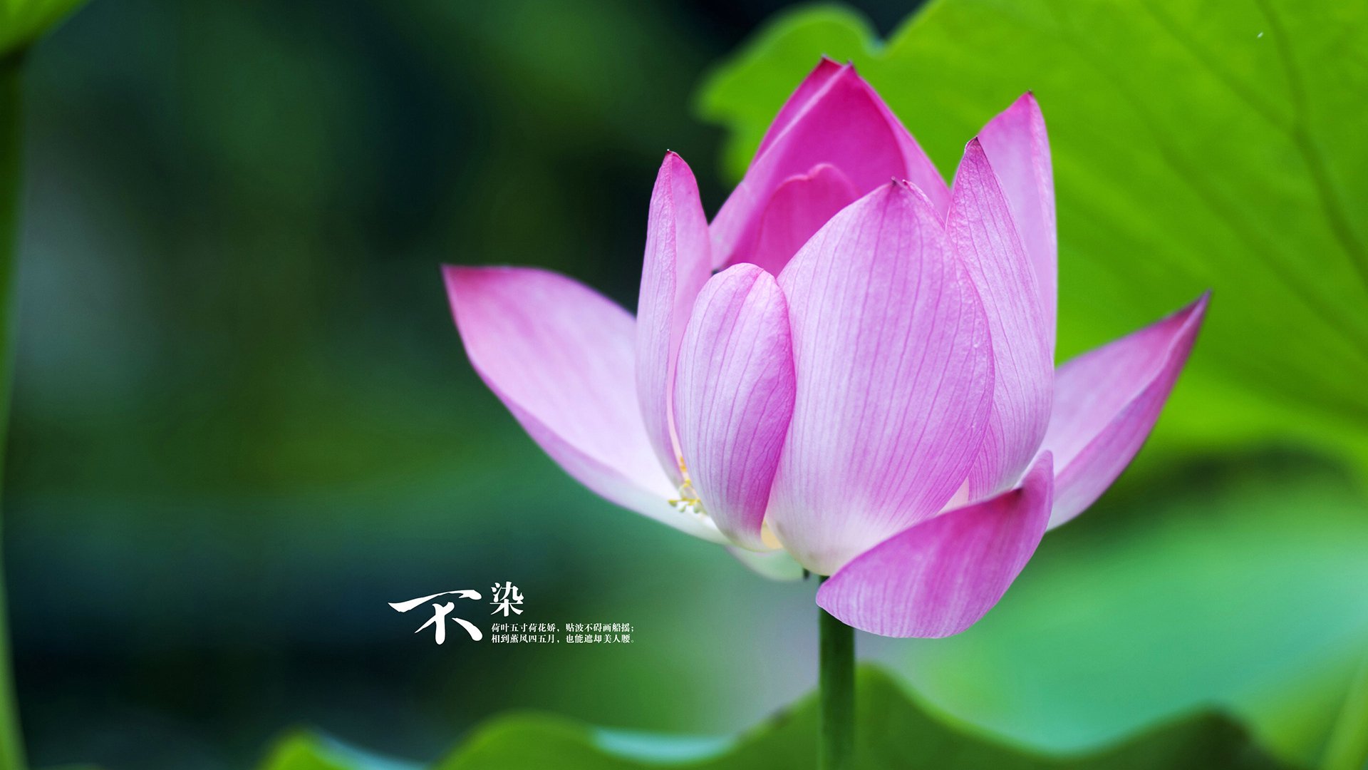 kaiyun开云·官方网站-卢卡·乌兰多：胜负之外看技术，卢卡百科