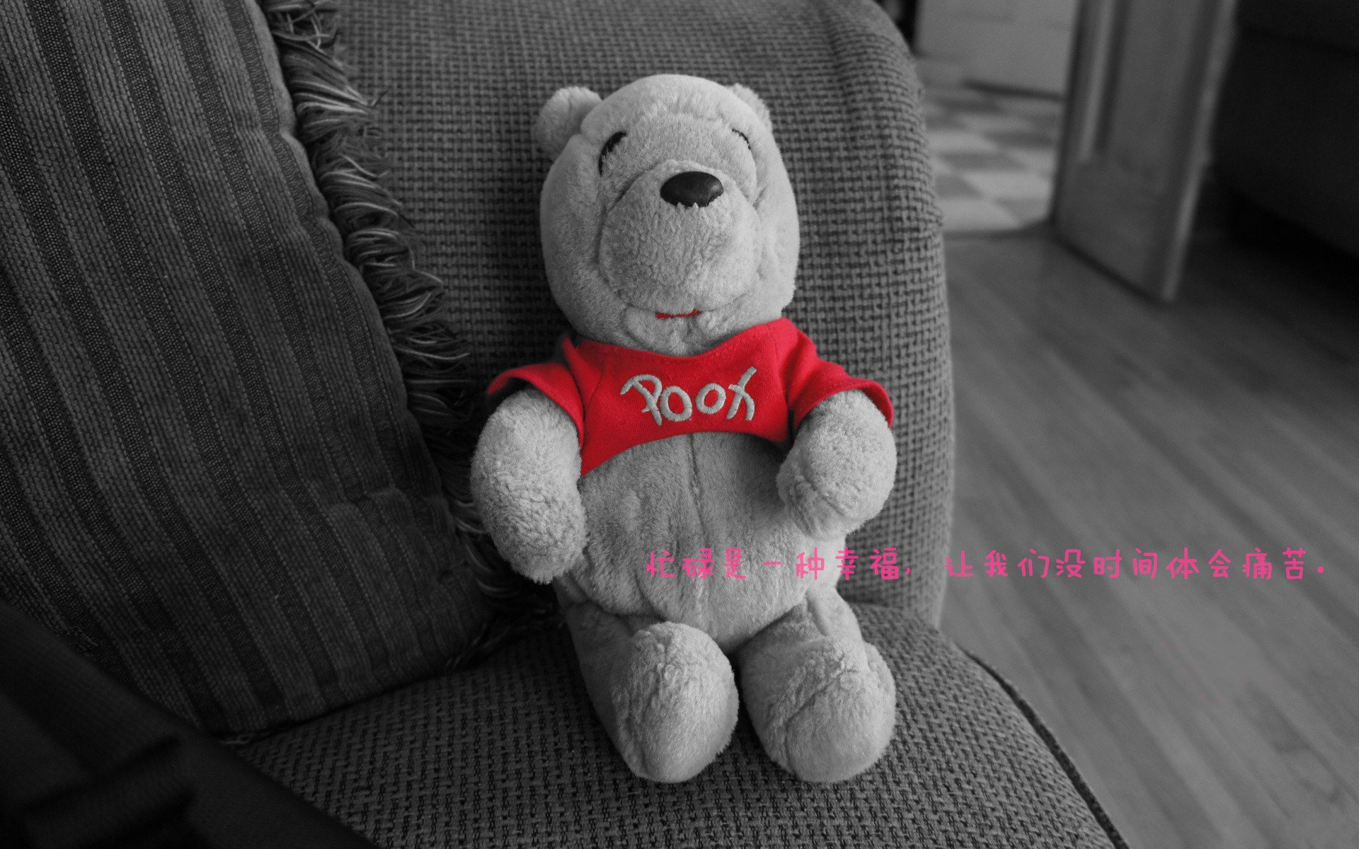 篮球青训基地升级设施改善训练环境,篮球青训队还能上学吗